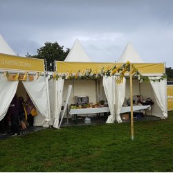 Pagodetelt - 3x3 m (9 m2)