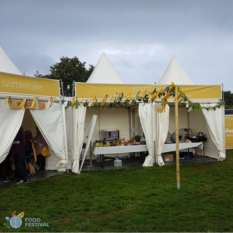 Pagodetelt - 3x3 m (9 m2)