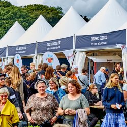 Pagodetelt - 3x3 m (9 m2)