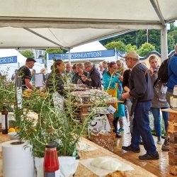 Pagodetelt - 6x6 m (36 m2)