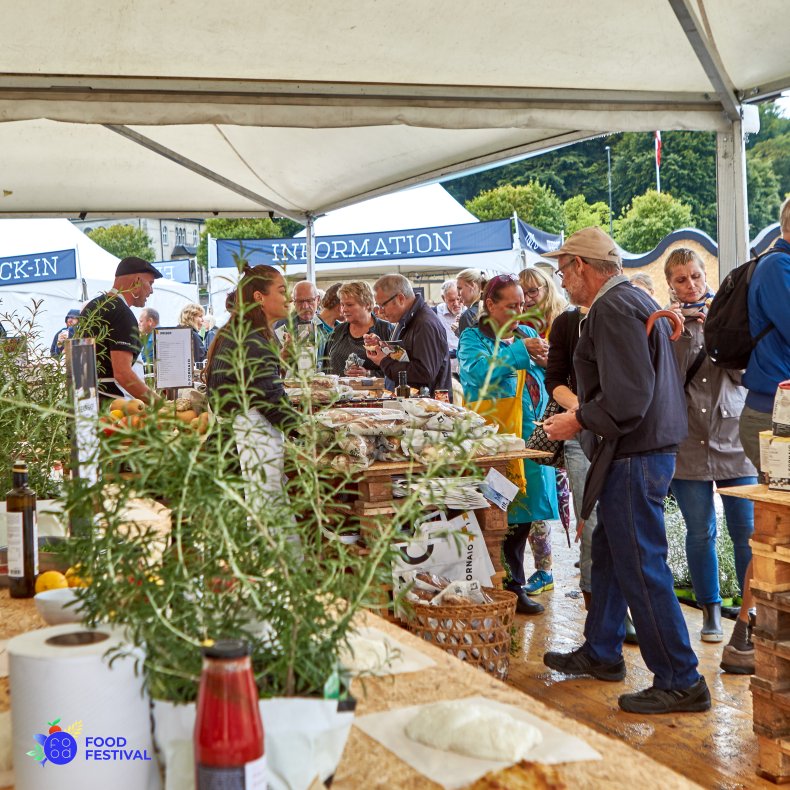 Pagodetelt - 6x6 m (36 m2)