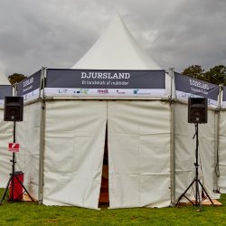 Sekskantet Pagodetelt - 6 m (25 m2)