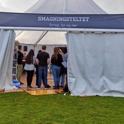 Sekskantet Pagodetelt - 12 m (96 m2)