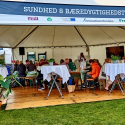 Sekskantet Pagodetelt - 12 m (96 m2)