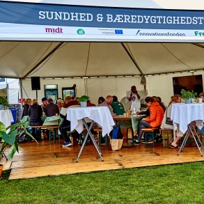 Sekskantet Pagodetelt - 12 m (96 m2)