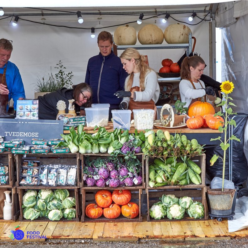 Rammetelt - 3x6 m (18 m2)