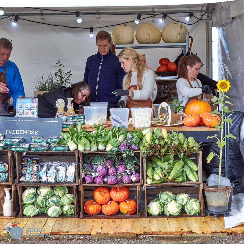 Rammetelt - 3x6 m (18 m2)