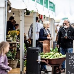 Rammetelt - 6x6 m (36 m2)