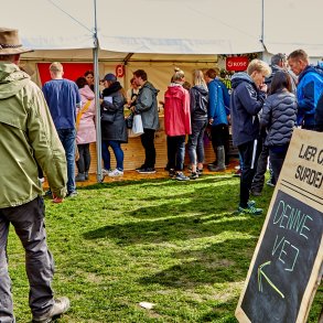 Rammetelt - 6x12 m (72 m2)