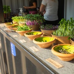 Bardisk - 10 fods container