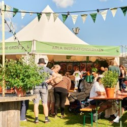 Pagodetelt - 5x5 m (25 m2)