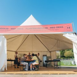 Sekskantet Pagodetelt - �12 m (96 m2)