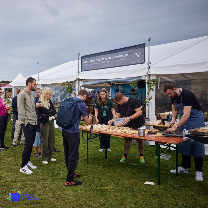 Rammetelt - 6x12 m (72 m2)