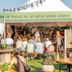 Pagodetelt - 5x5 m (25 m2)