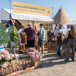 Rammetelt - 3x3 m (9 m2)