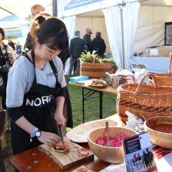 Pagodetelt - 3x3 m (9 m2)